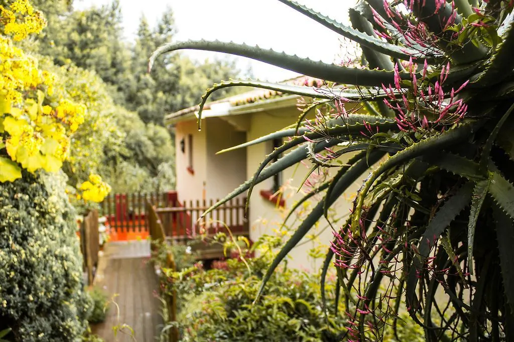 Appartement Hortensia Gardens Hotel Funchal