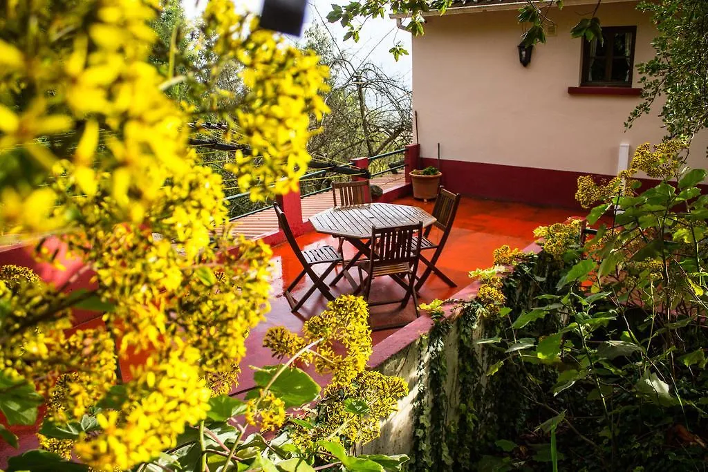 Appartement Hortensia Gardens Hotel Funchal  Portugal