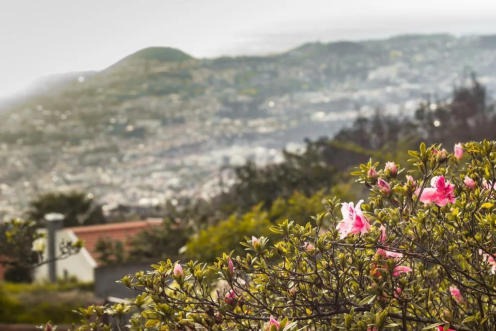 Appartement Hortensia Gardens Hotel Funchal